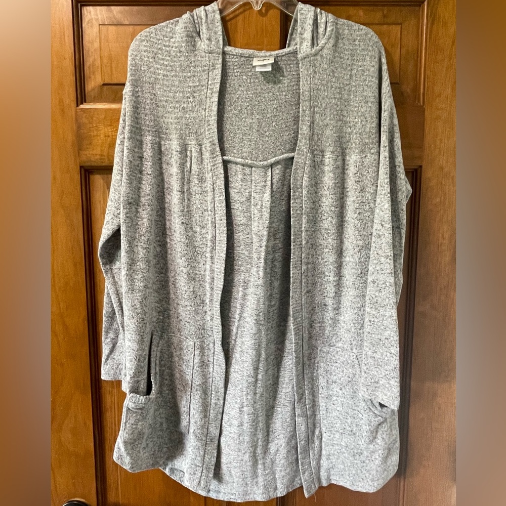 Day trip grey sweater with hood
